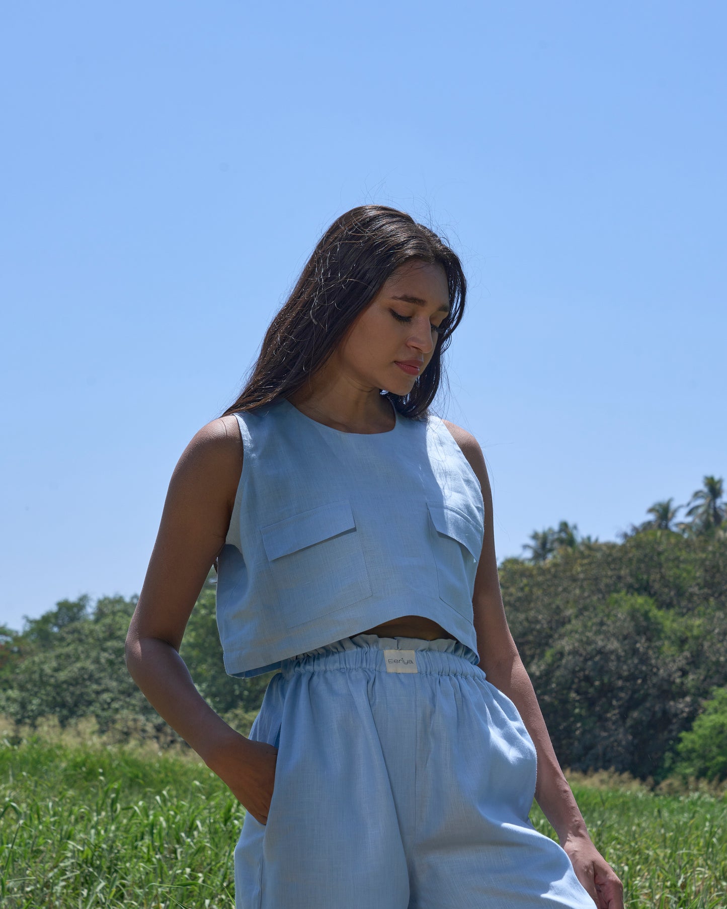 Blueberry Meadow Set