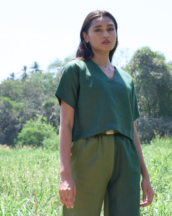 Rainforest Set